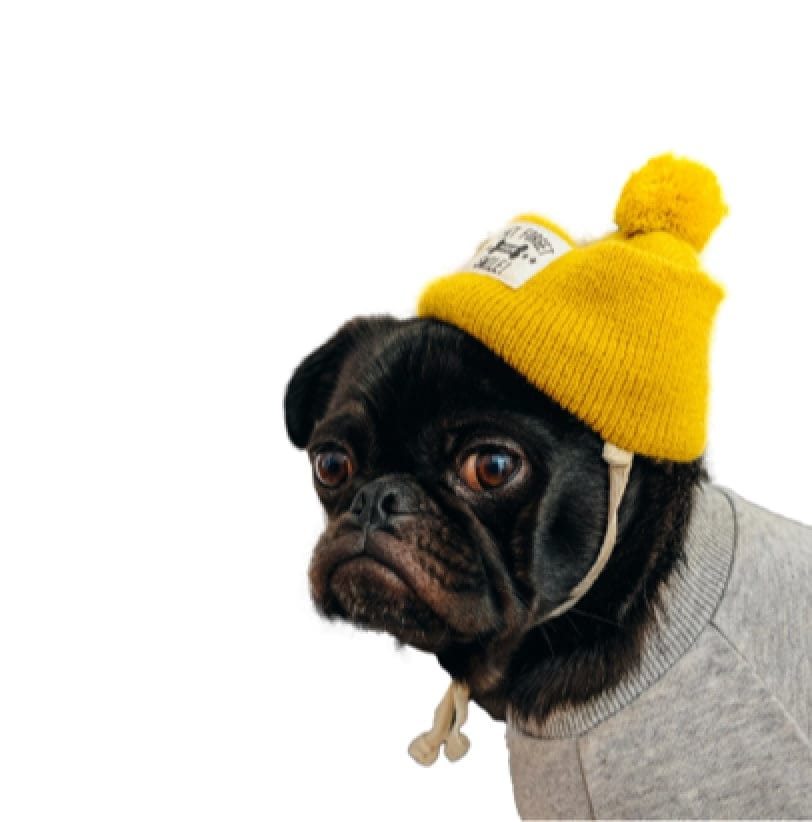 Clipping Magic example image