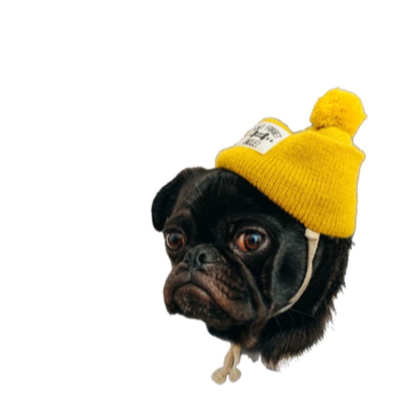 Competitor example image