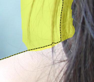 带标记的初始教程图象