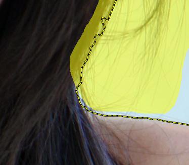 带标记的初始教程图象