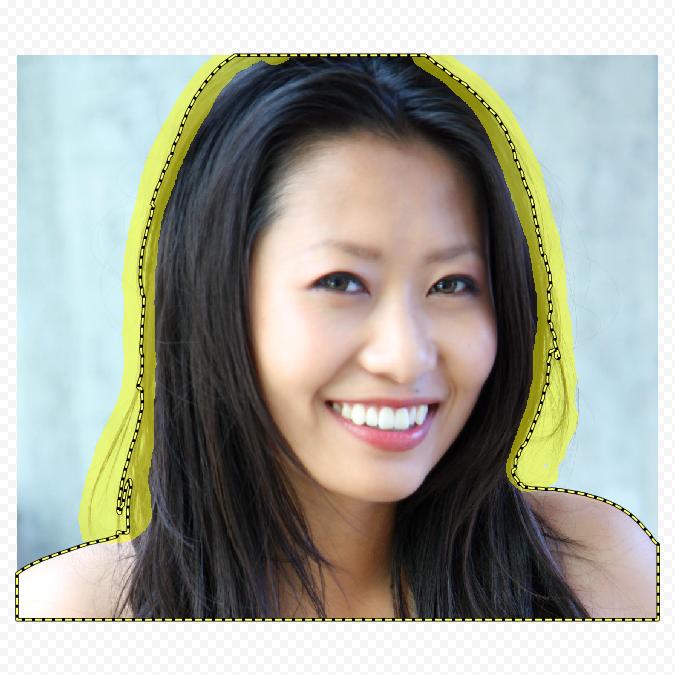 带标记的初始教程图象