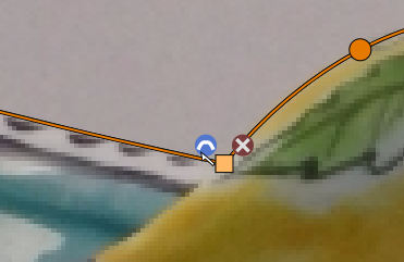 带标记的初始教程图象